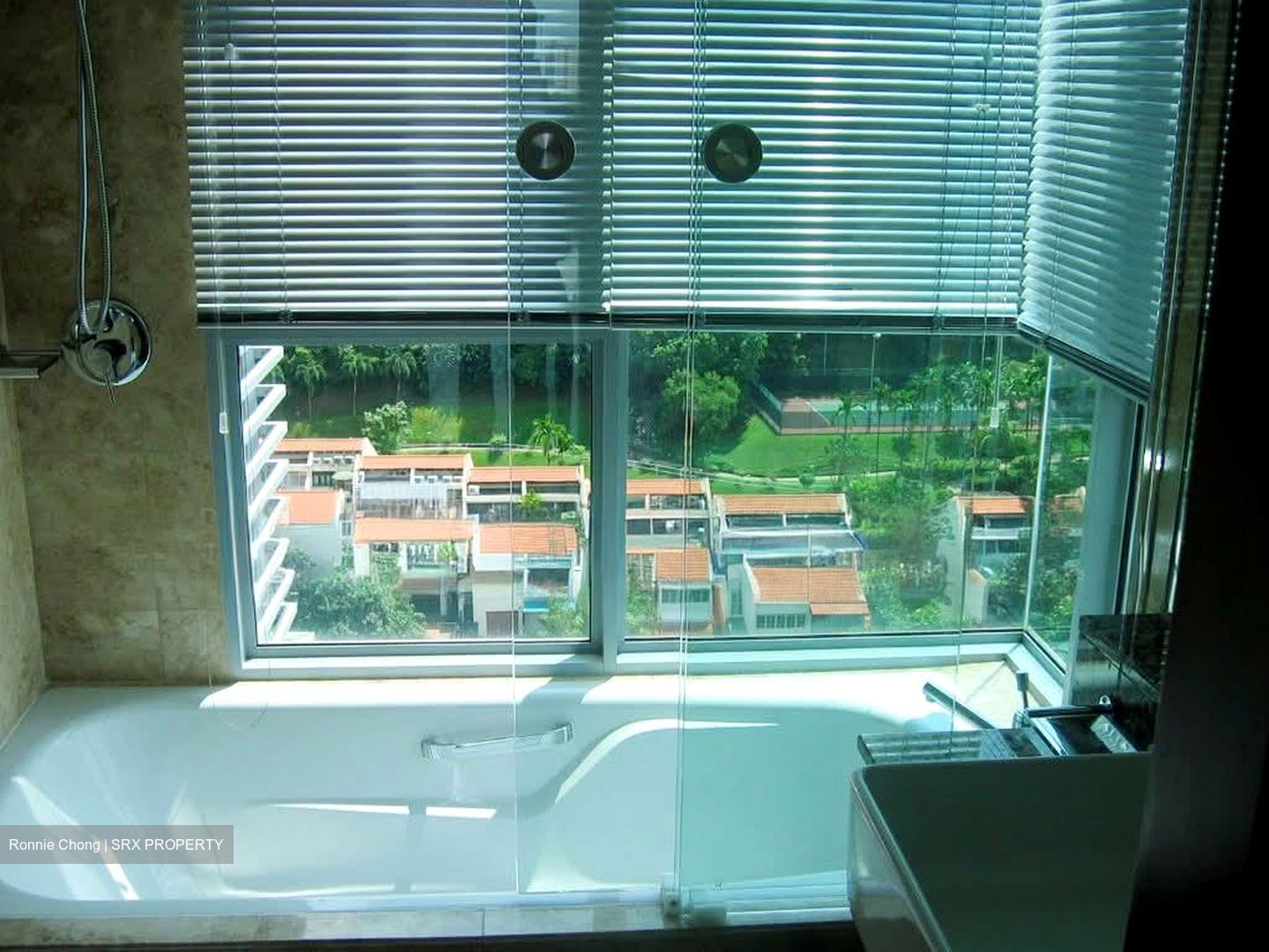 The Marbella (D10), Condominium #580664111